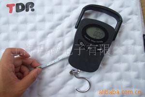 DGC-B小吊秤