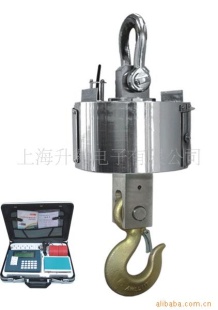 OCS-X2H吊秤