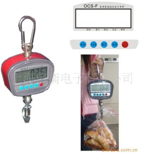 家用型电子吊秤OCS－F