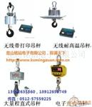 珠洲电子台秤