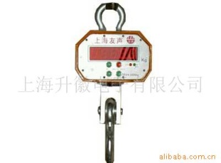 OCS系列吊钩秤