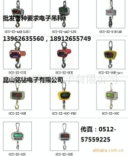全国电子吊秤