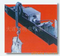 电子单轨衡SCS-D