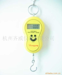 通用钩吊秤
