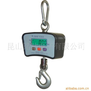 直视吊秤500KG