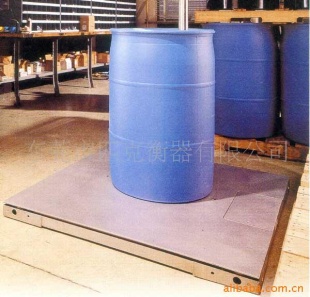 防爆衡器电子地上衡SCS-B