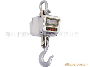 DT-1t电子吊钩秤