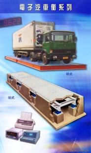 电子秤SCS