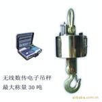 耐高温吊秤