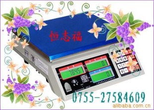 1吨优质电子吊钩秤