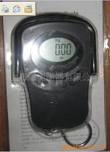 DGC-50电子吊钩秤