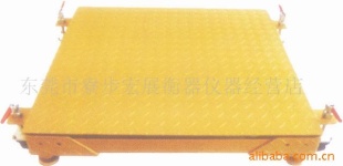 电子地磅SCS