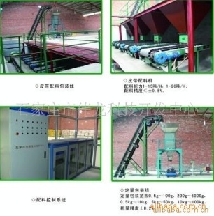 电子皮带秤DCS-53