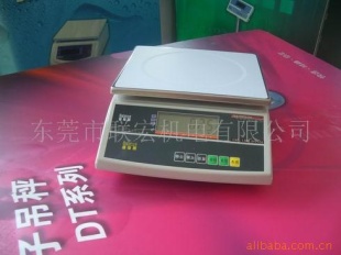 东莞电子磅