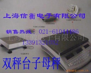 电子计重秤SCS