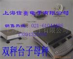 电子计重秤SCS