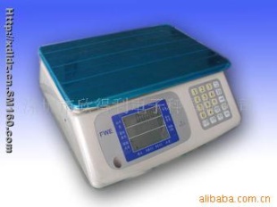 ACS高精度电子秤