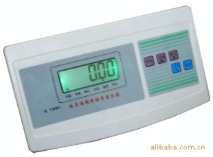 友声计重仪表