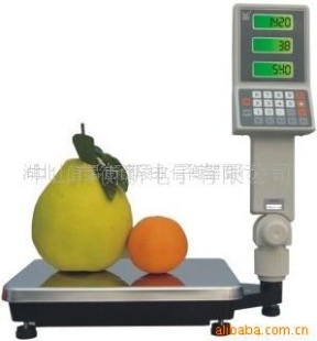 磅秤TCS