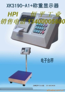 宜兴电子秤