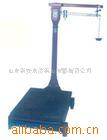 汽车衡器 SCS