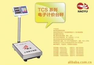 电子计价台秤