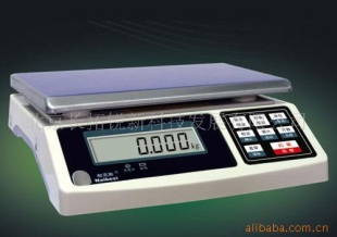 ZNS-30H型 计重秤