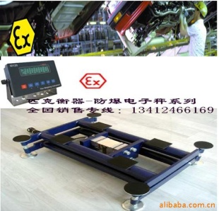 防爆电子秤TCS-B100