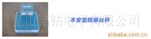防爆地磅