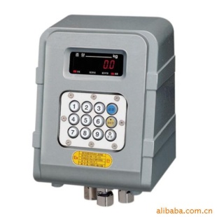 EXP-2000A  防爆仪表