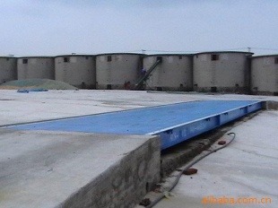 电子秤地磅SCS