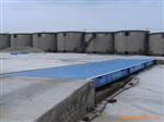电子秤地磅SCS