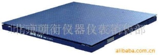 电子磅秤 SCS