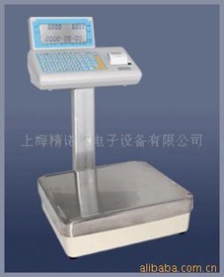 PPW电子计重秤