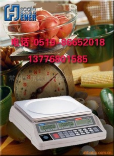 电子计数秤WT