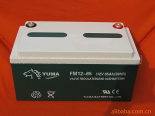 １２Ｖ６５ＡＨ铅酸蓄电池