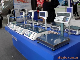 电子秤TCS-30