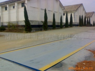 汽车衡型号scs