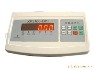 仪表表头 XK3100-B2