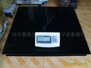 电子秤SCS
