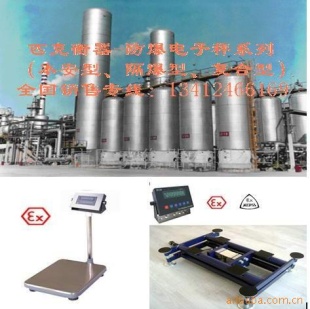 防爆电子秤 TCS