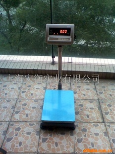 电子计重台秤TCS