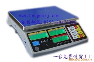 广州电子秤NKS