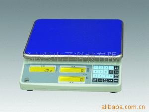上海舜宇恒平MP100KC电子秤