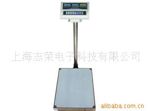 电子计数台秤BCS-T11