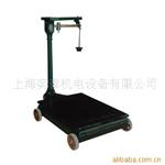 浦东张江机械磅称TGT-500