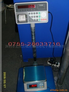台衡惠而邦T3200电子秤