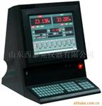 称重显示器