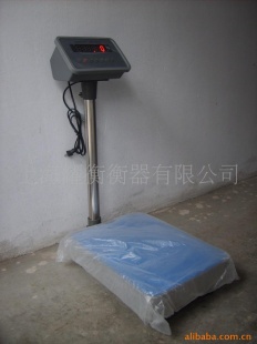 EMS快递专用电子秤