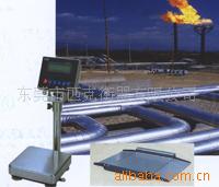 防爆衡器 TCS-B100